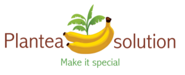 Plantea Solution