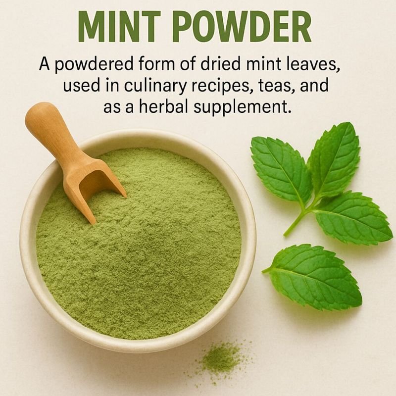 Dehydrated Mint Powder Manufacturer in India