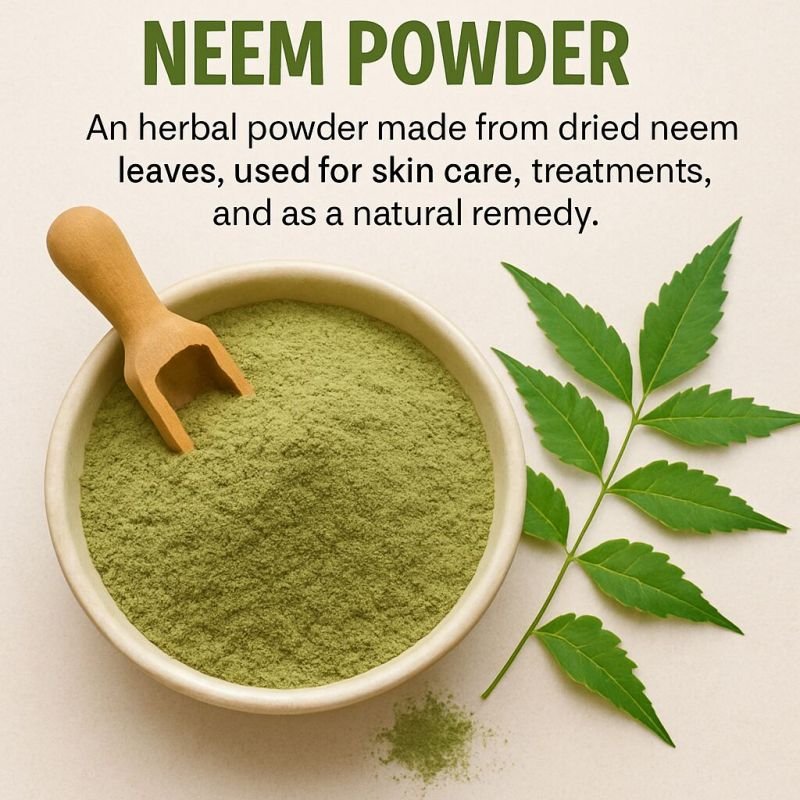 Dehydrated Neem Powder Manufacturer in India
